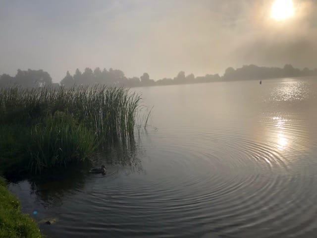 IMG 0232
